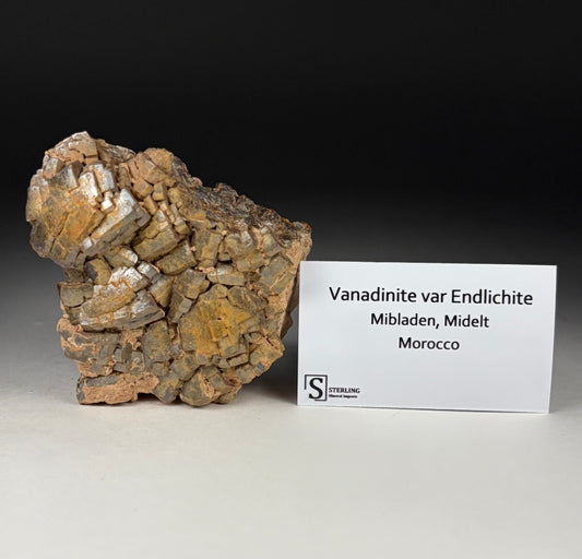 Vanadinite var Endlichite