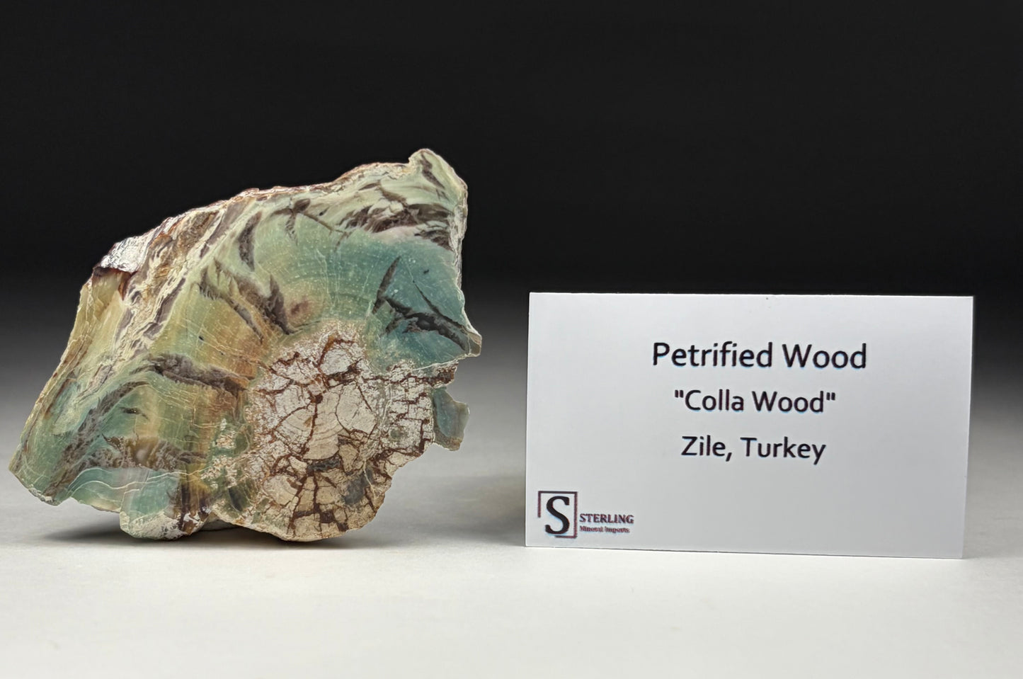 Petrified Wood-“Colla Wood”