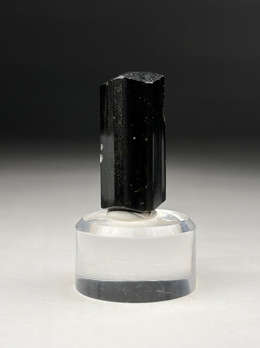 Liddicoatite var. Tourmaline