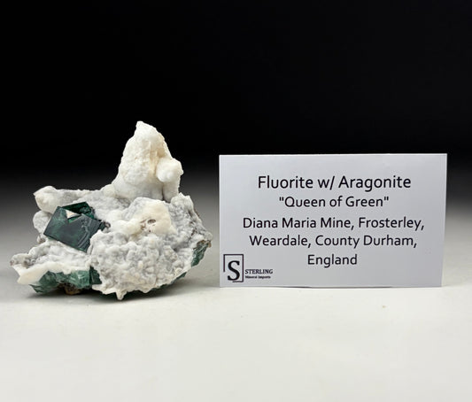 Fluorite w/ Aragonite-“Queen of Green”
