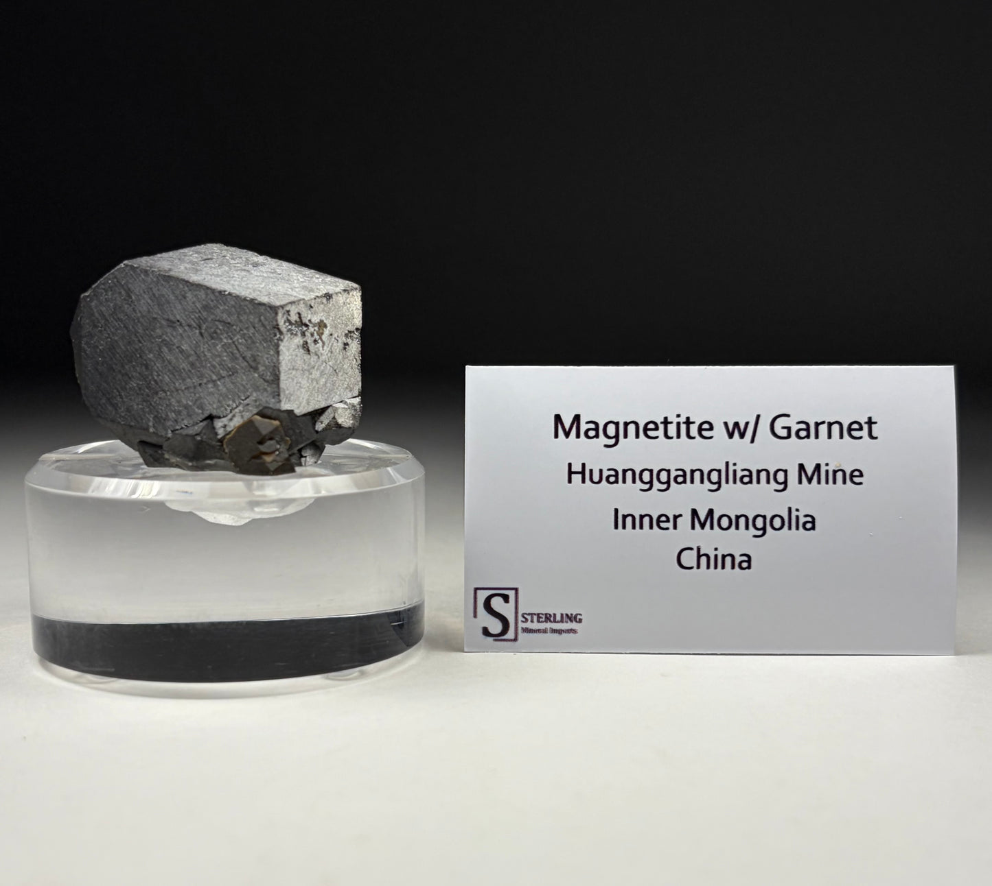 Magnetite w/ Garnet on Custom Stand