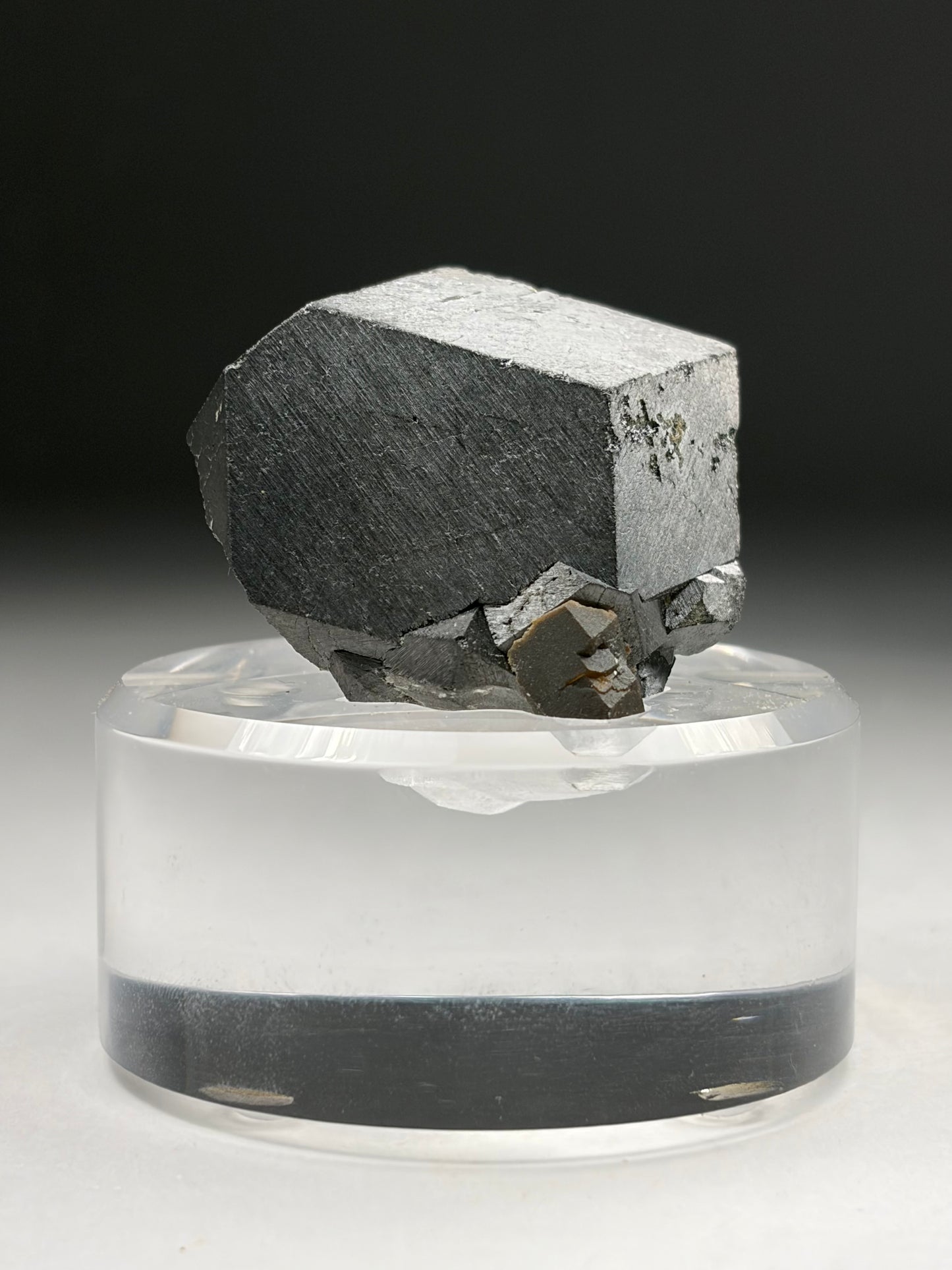 Magnetite w/ Garnet on Custom Stand