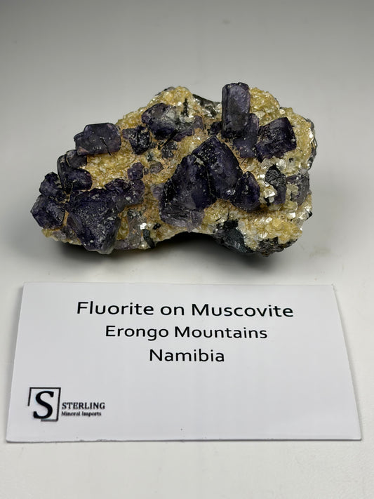 Fluorite on Muscovite