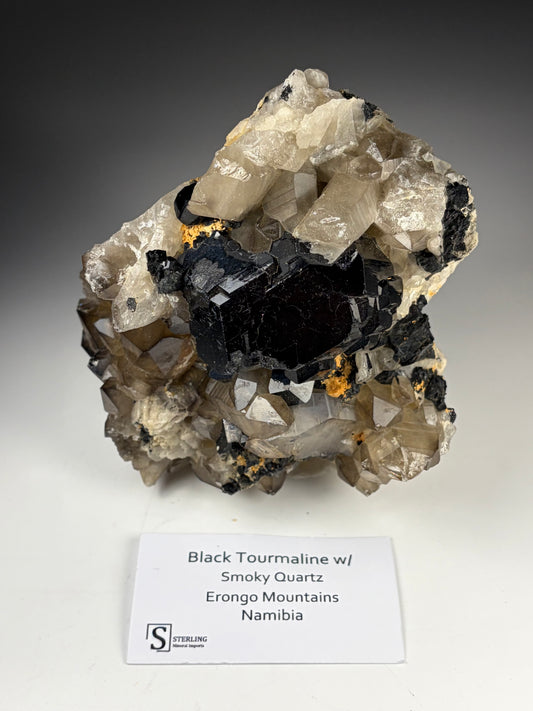 Black Tourmaline w/ Smoky Quartz
