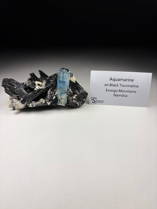 Aquamarine on Black Tourmaline
