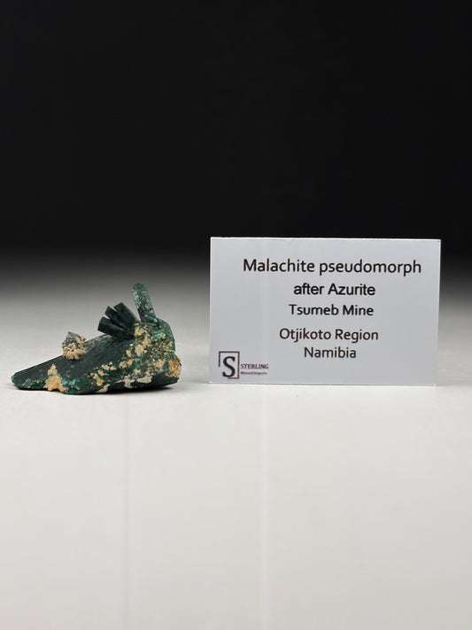 Malachite Pseudomorph after Azurite