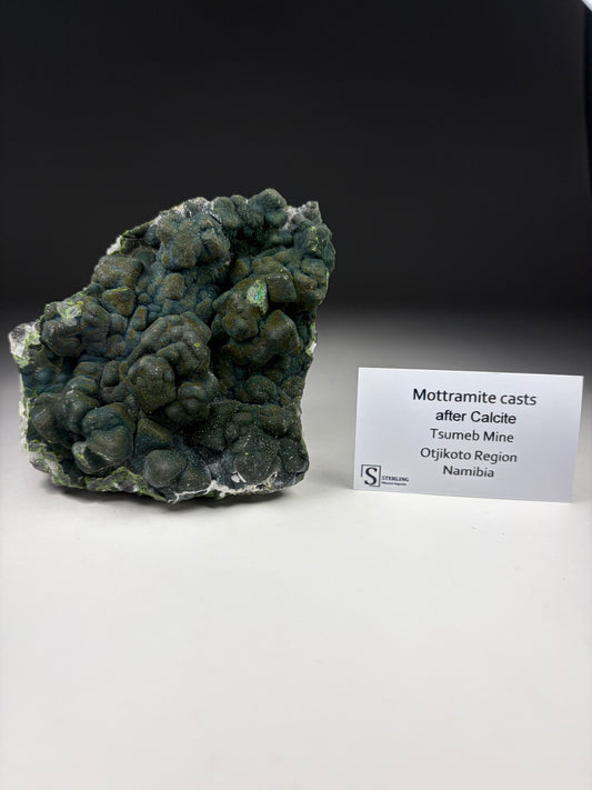Mottramite Casts after Calcite