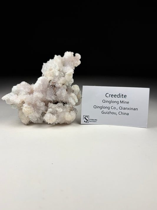 Creedite