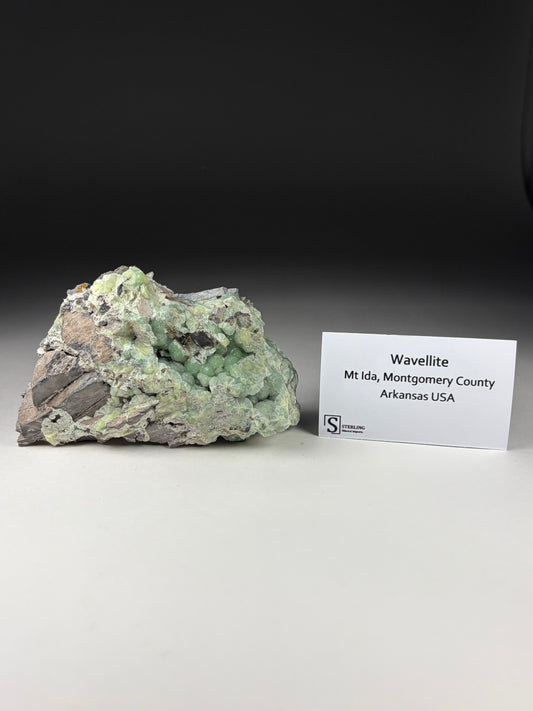 Wavelite