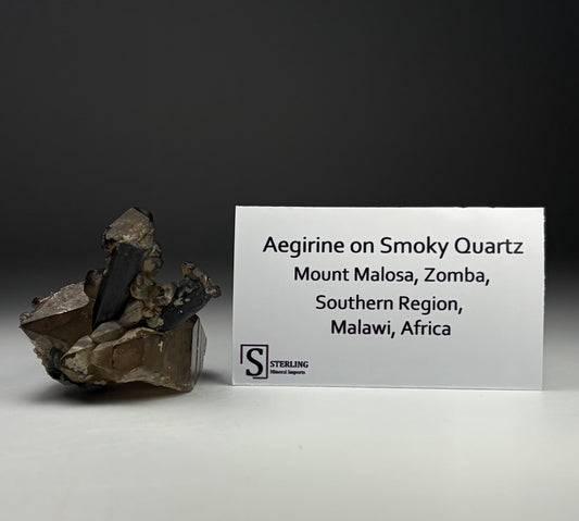 Aegirine on Smoky Quartz