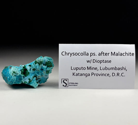 Chrysocolla ps. after Malachite w/ Dioptase