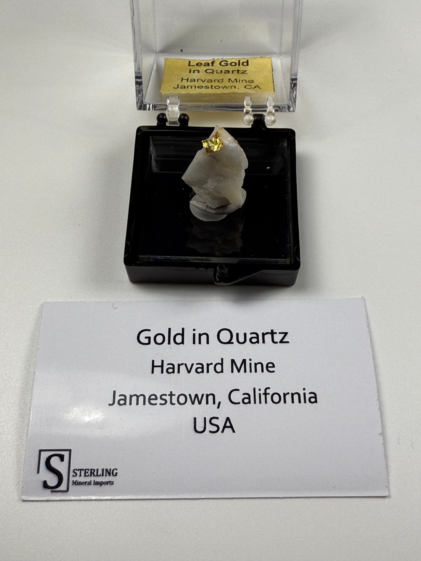 Gold in Quartz