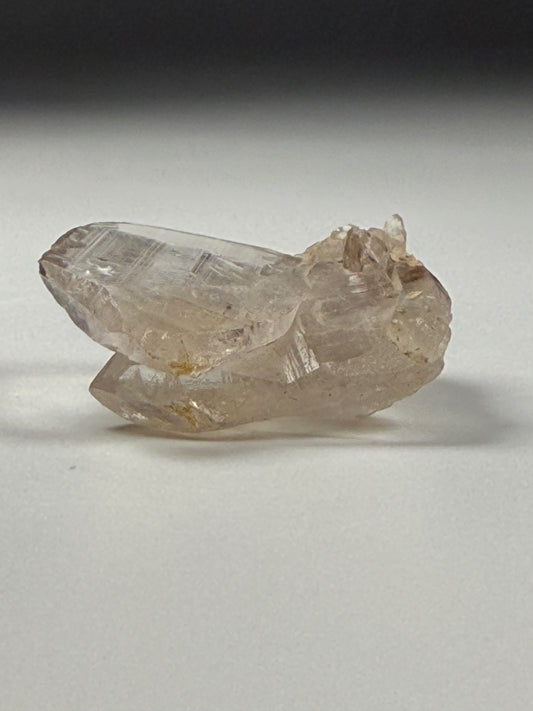 Japan Law Quartz
