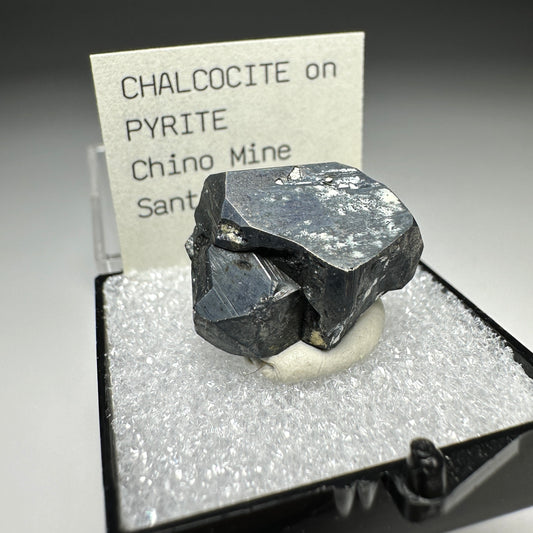 Chalcocite on Pyrite