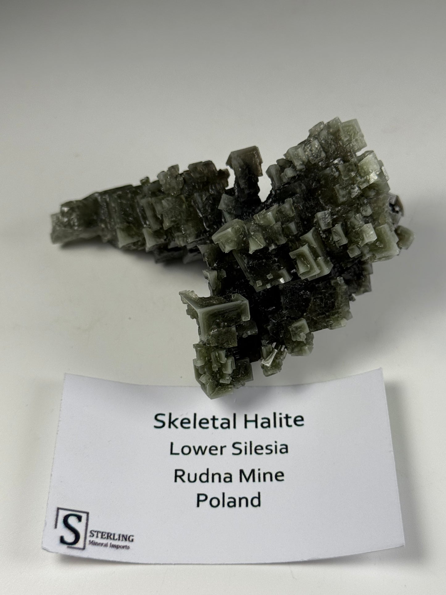 Skeletal Halite