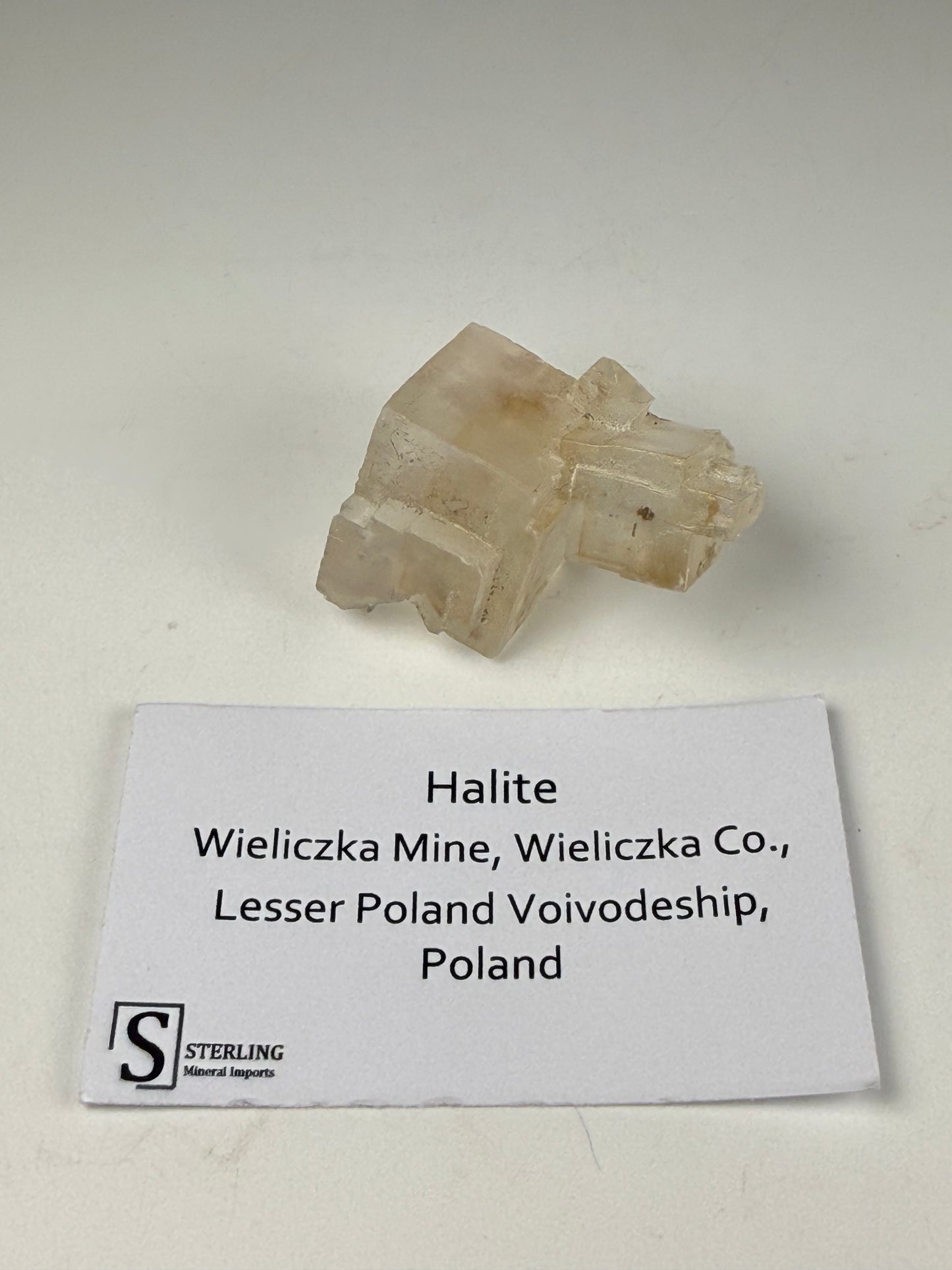 Halite Rings Halite – Sterling Mineral Imports