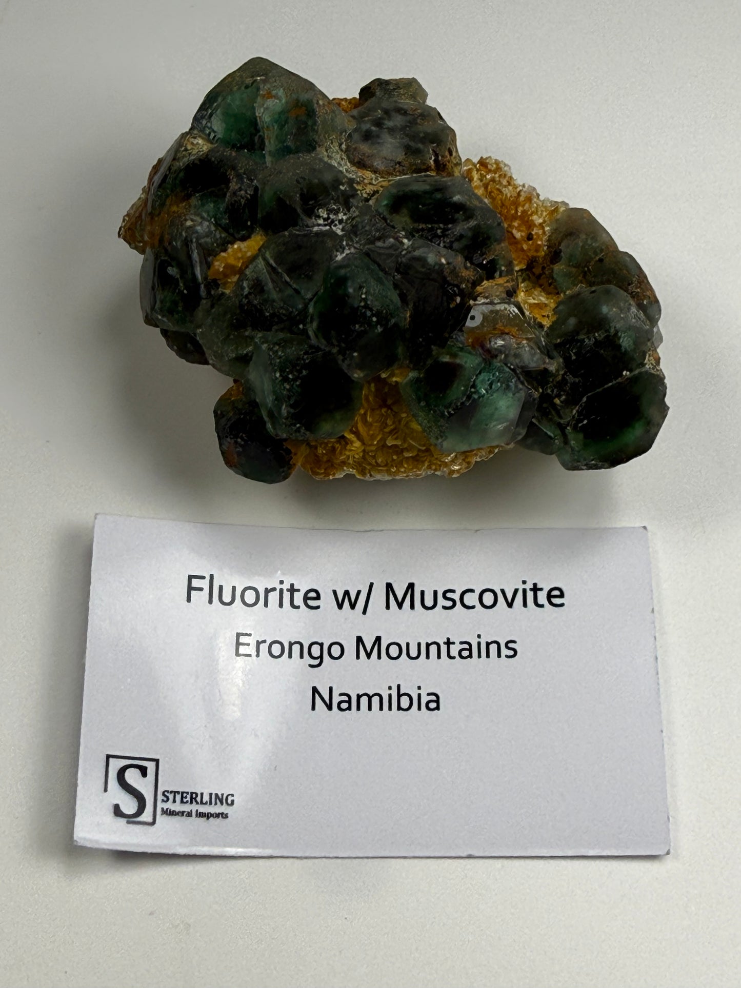 Fluorite w/ Muscovite