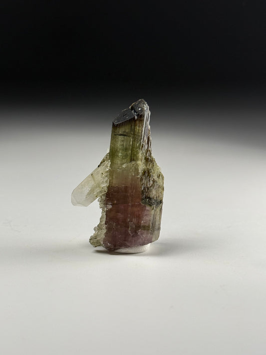 Elbaite w/Quartz