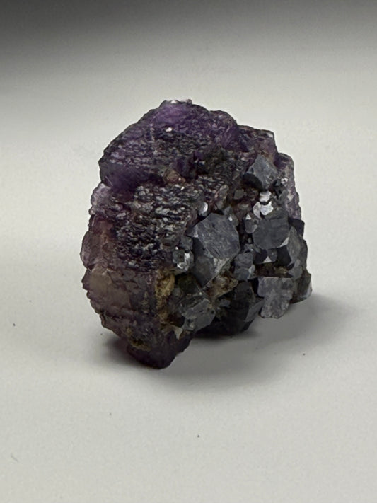 Fluorite with Galena