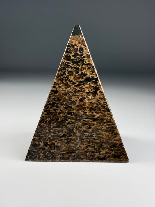 Pliosaur Bone