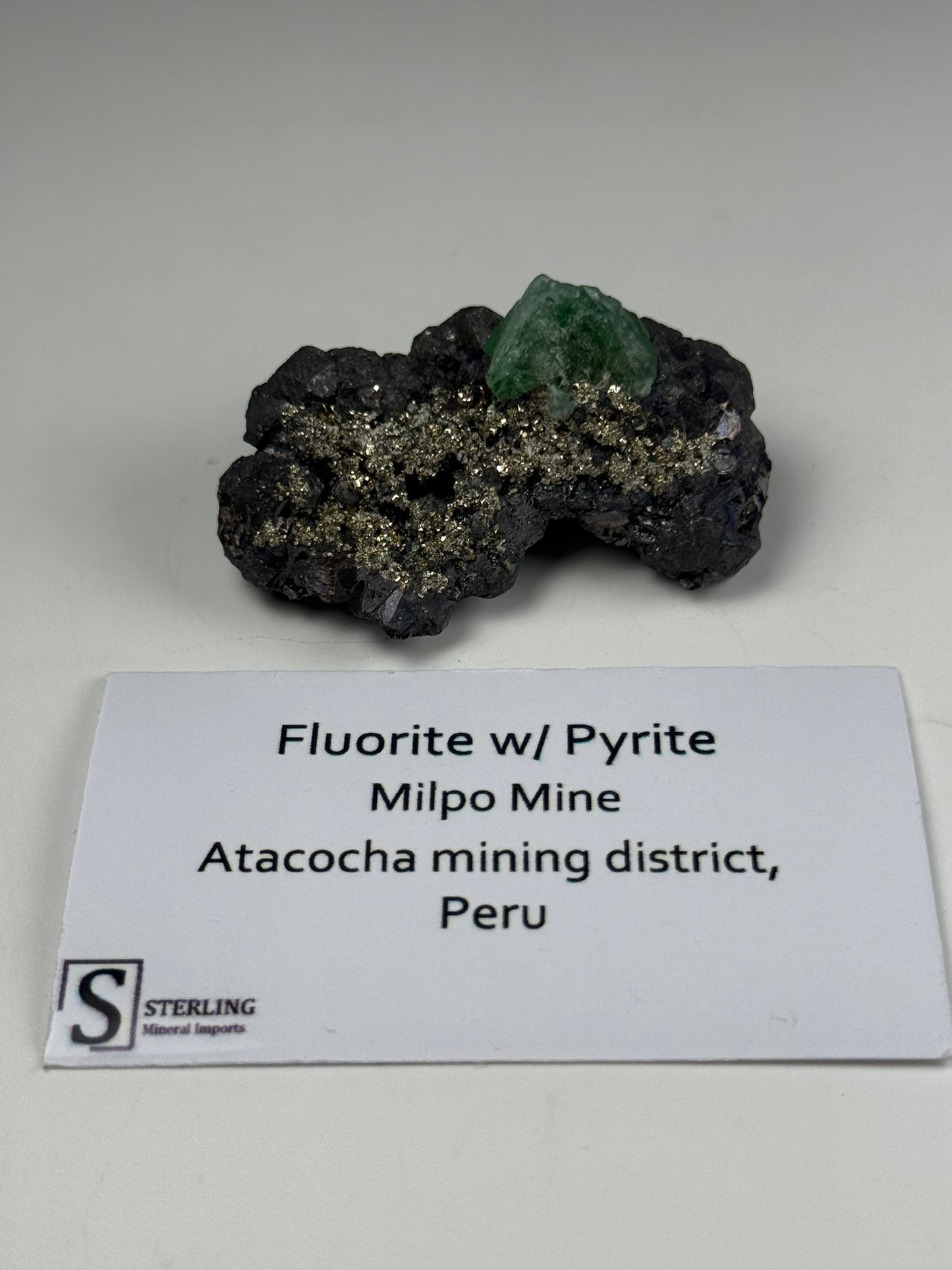 Fluorite w/Pyrite