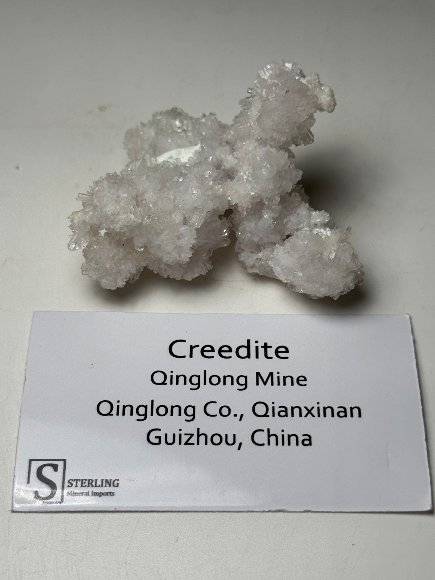 Creedite