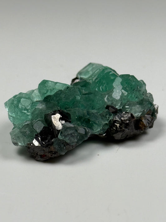 Fluorite w/ Galena