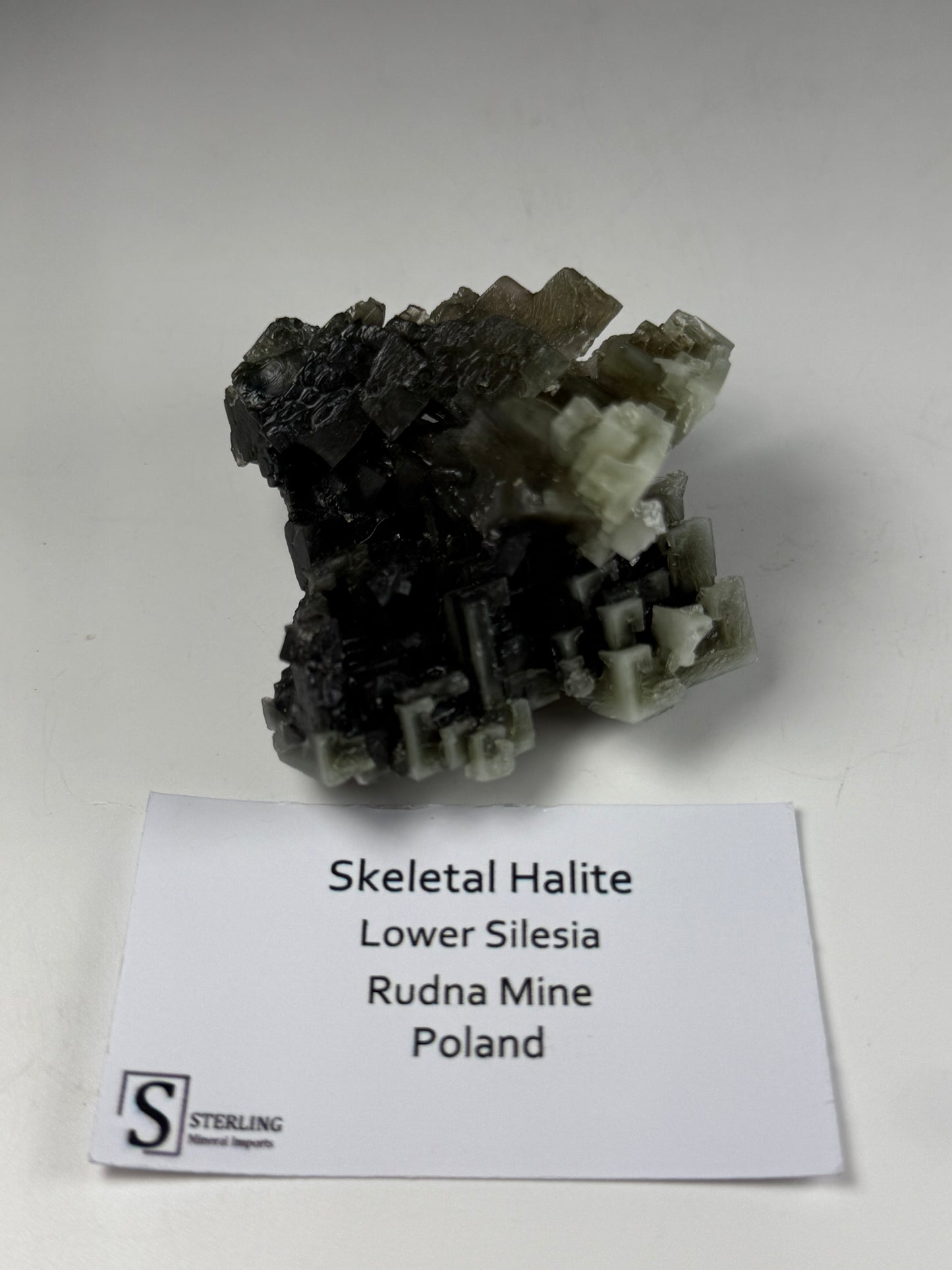 Skeletal Halite