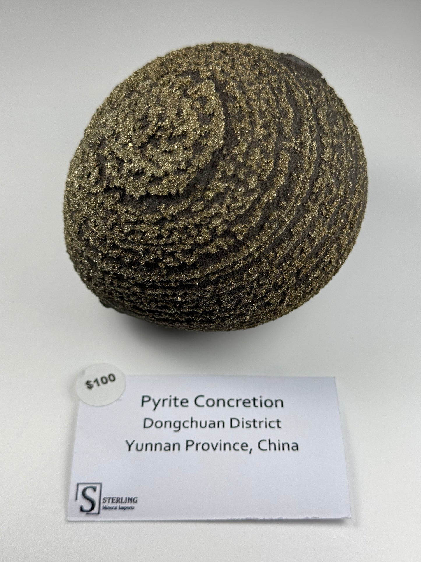 Pyrite Concretion