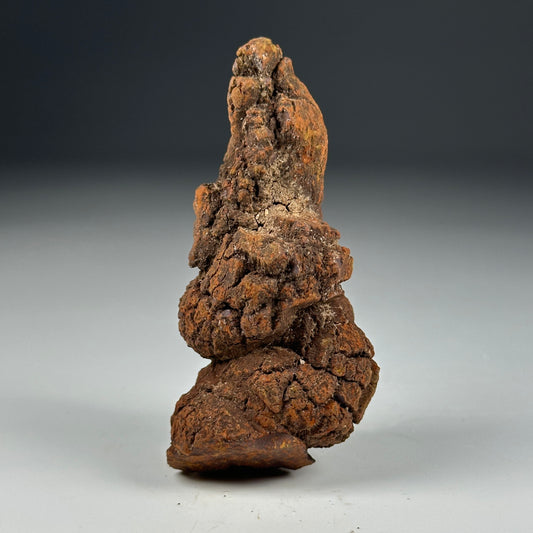 Coprolite