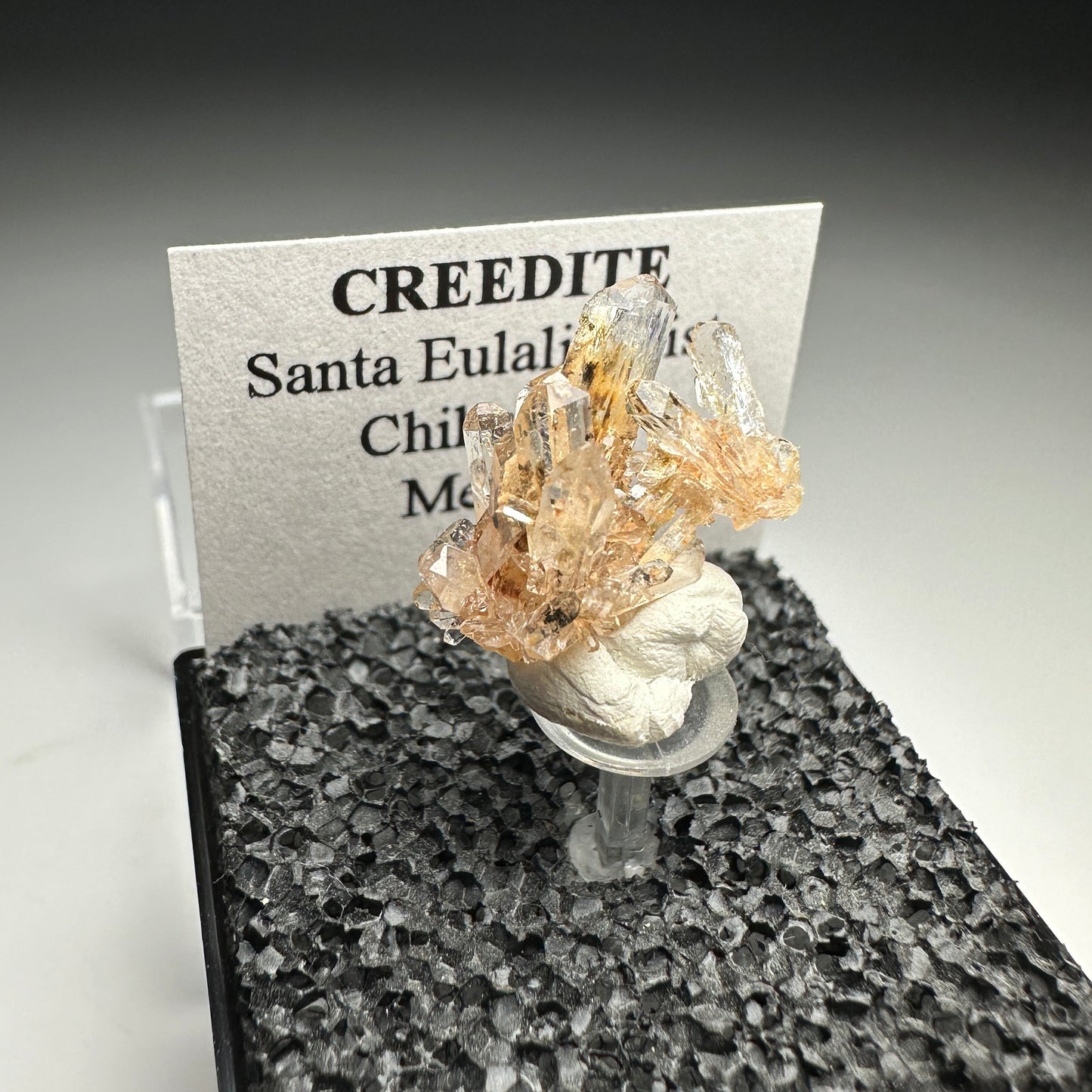 Creedite