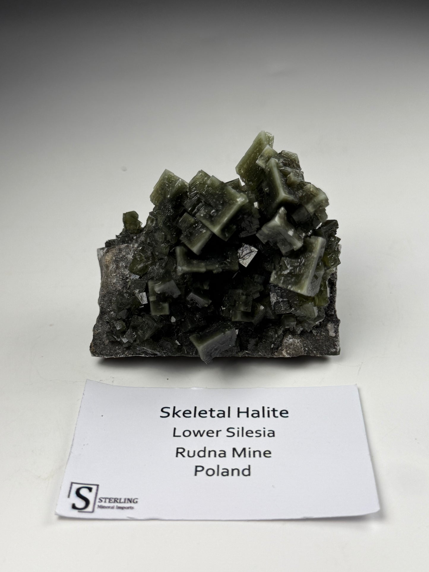 Skeletal Halite