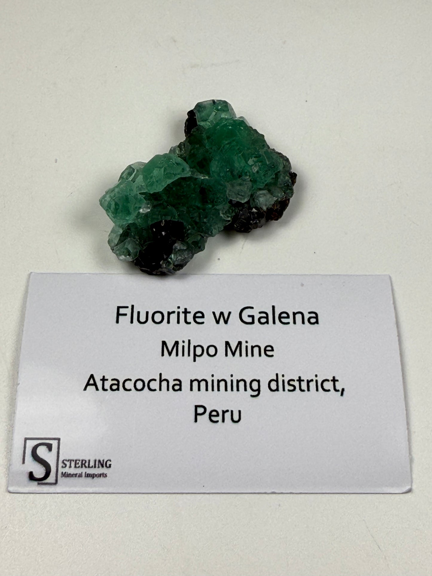 Fluorite w/ Galena