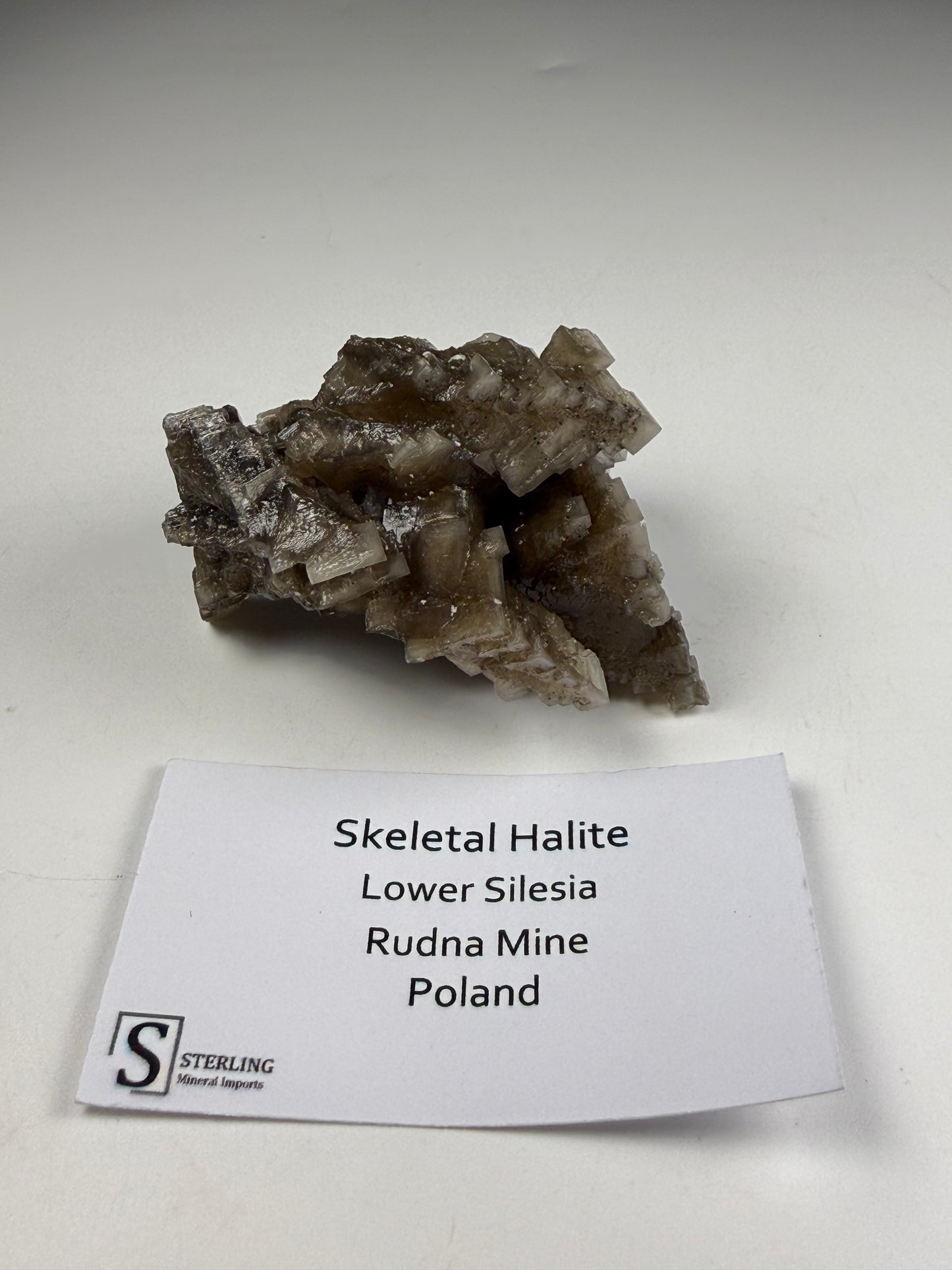 Skeletal Halite