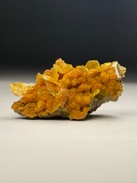 Wulfenite w/ Mimetite