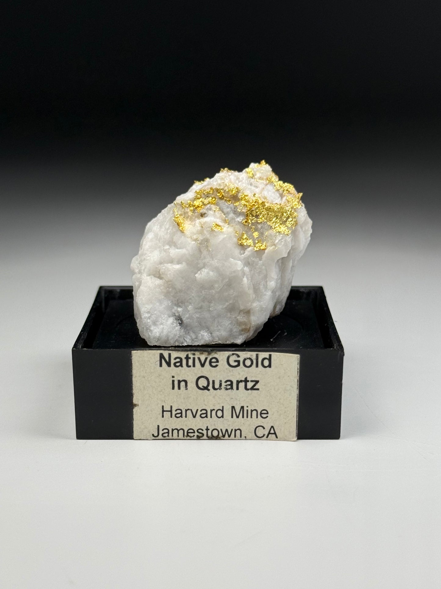 Gold in Quartz