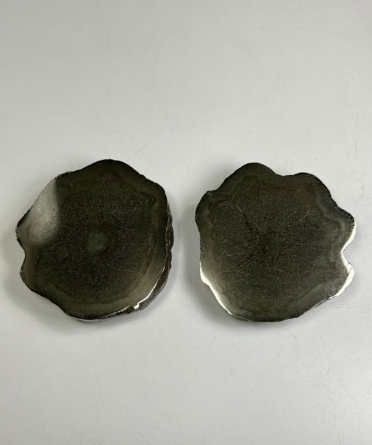 Pliosaur Vertebrae
