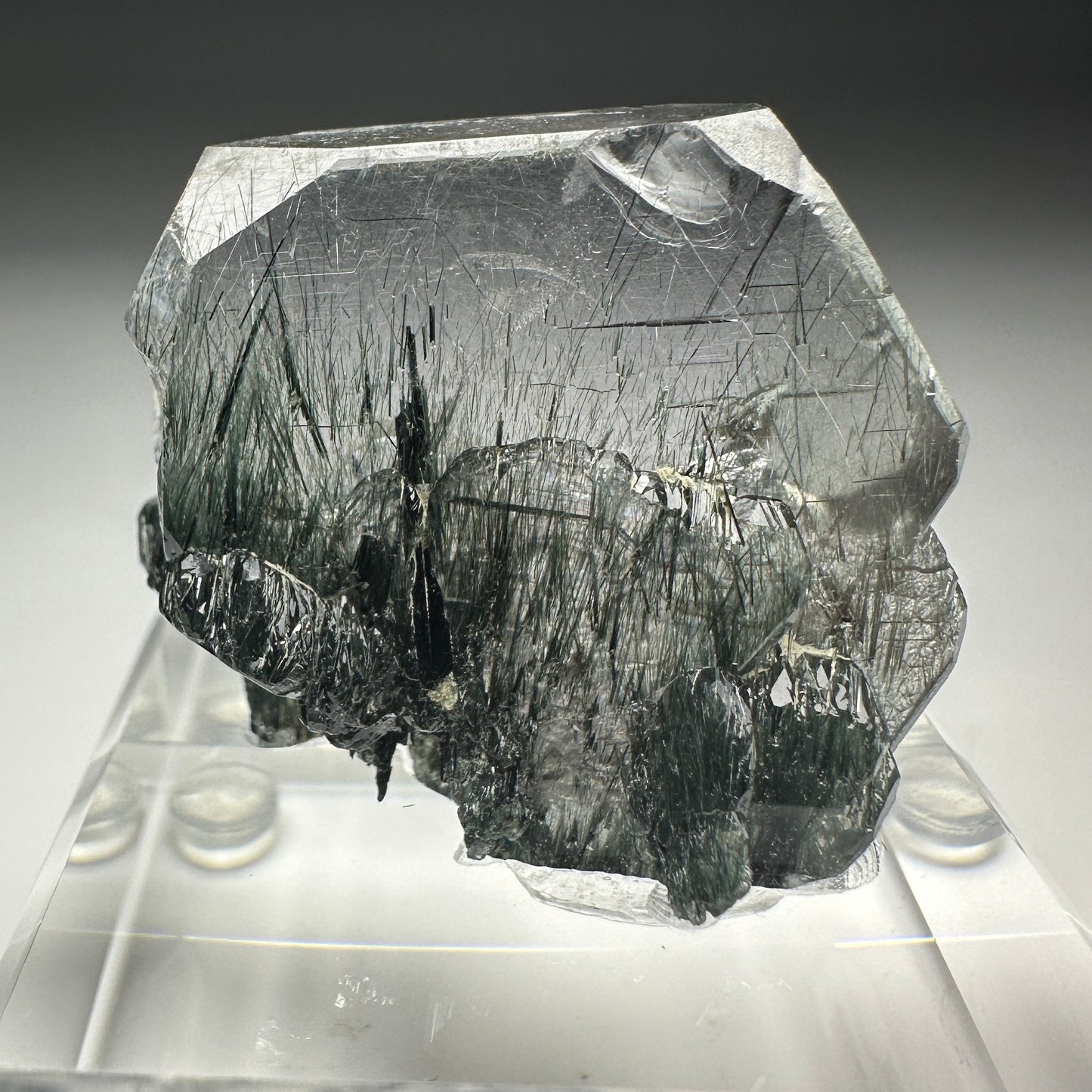 Byssolite incl Fluorapatite