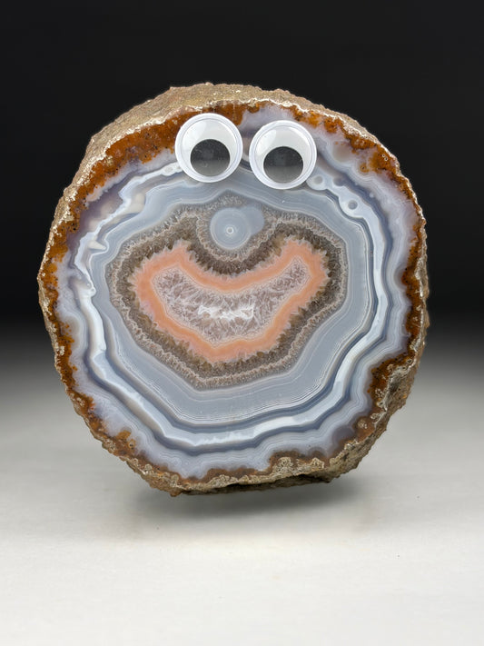 Agate Face (Jimbo)