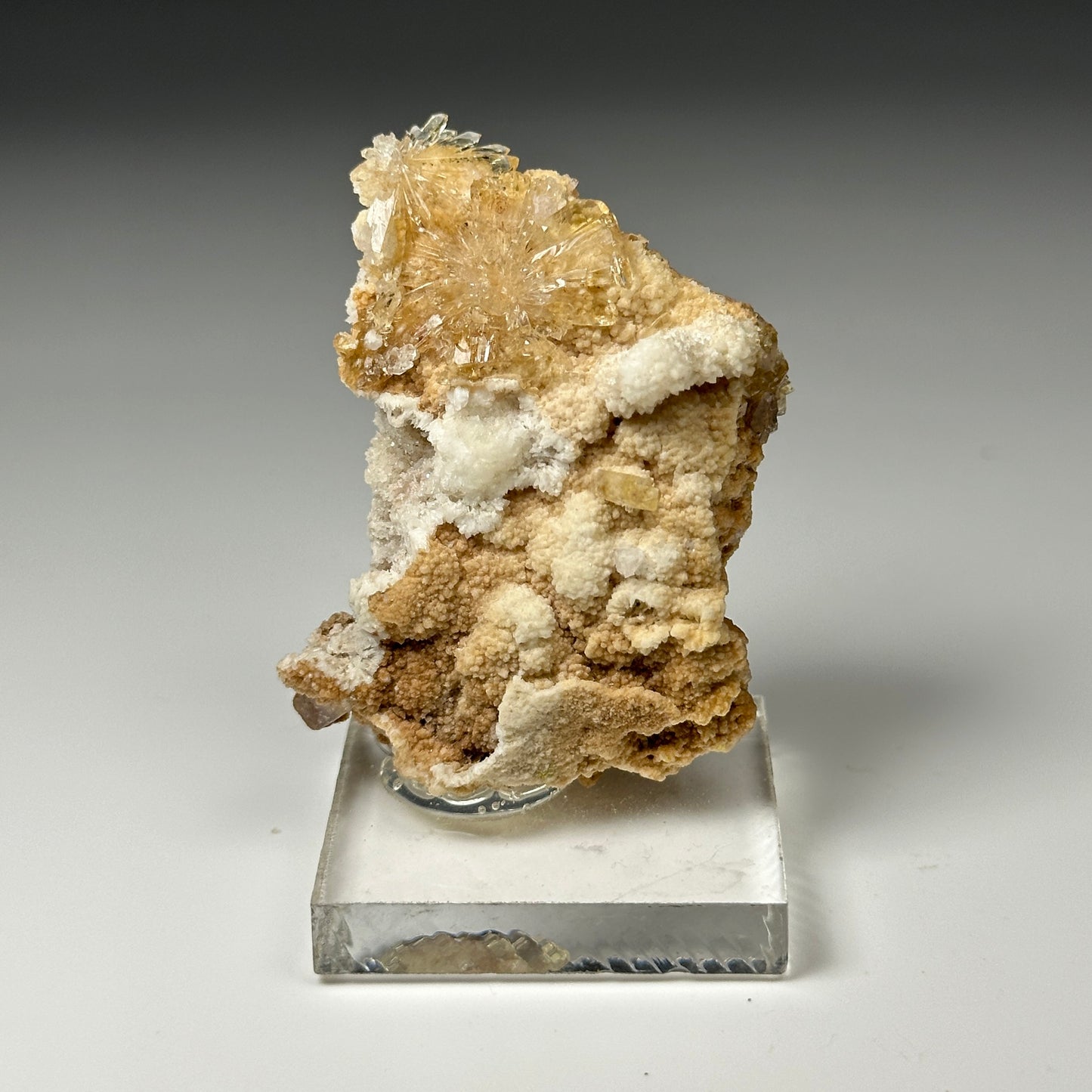 Creedite