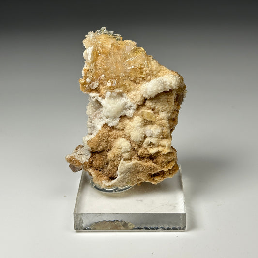 Creedite