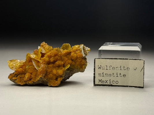 Wulfenite w/ Mimetite