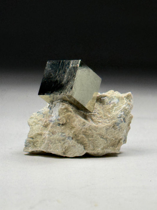 Pyrite on Matrix
