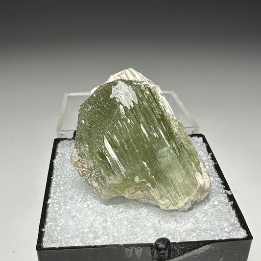 Gem Diopside