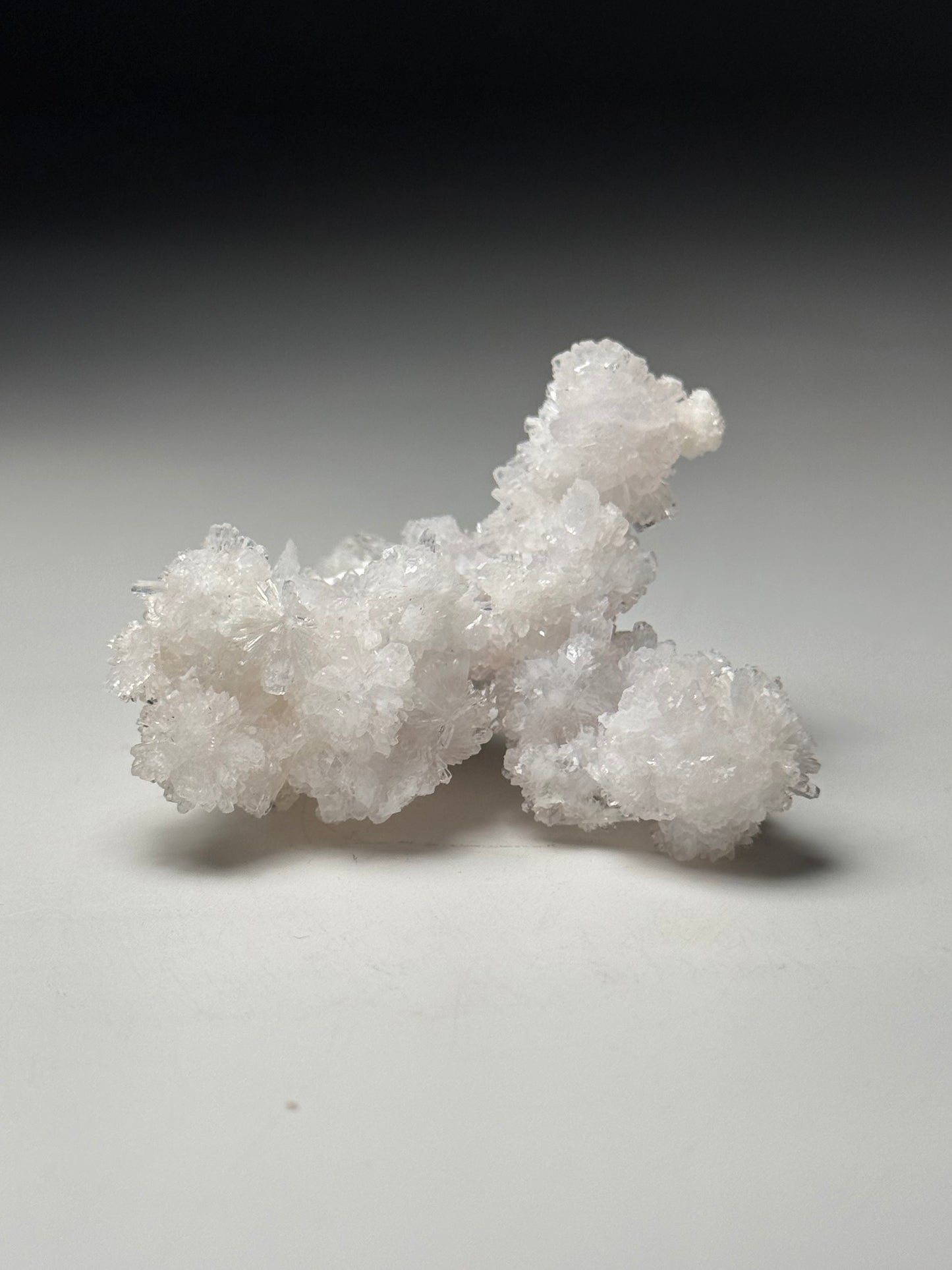 Creedite
