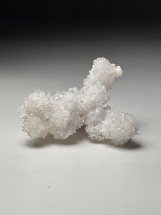 Creedite