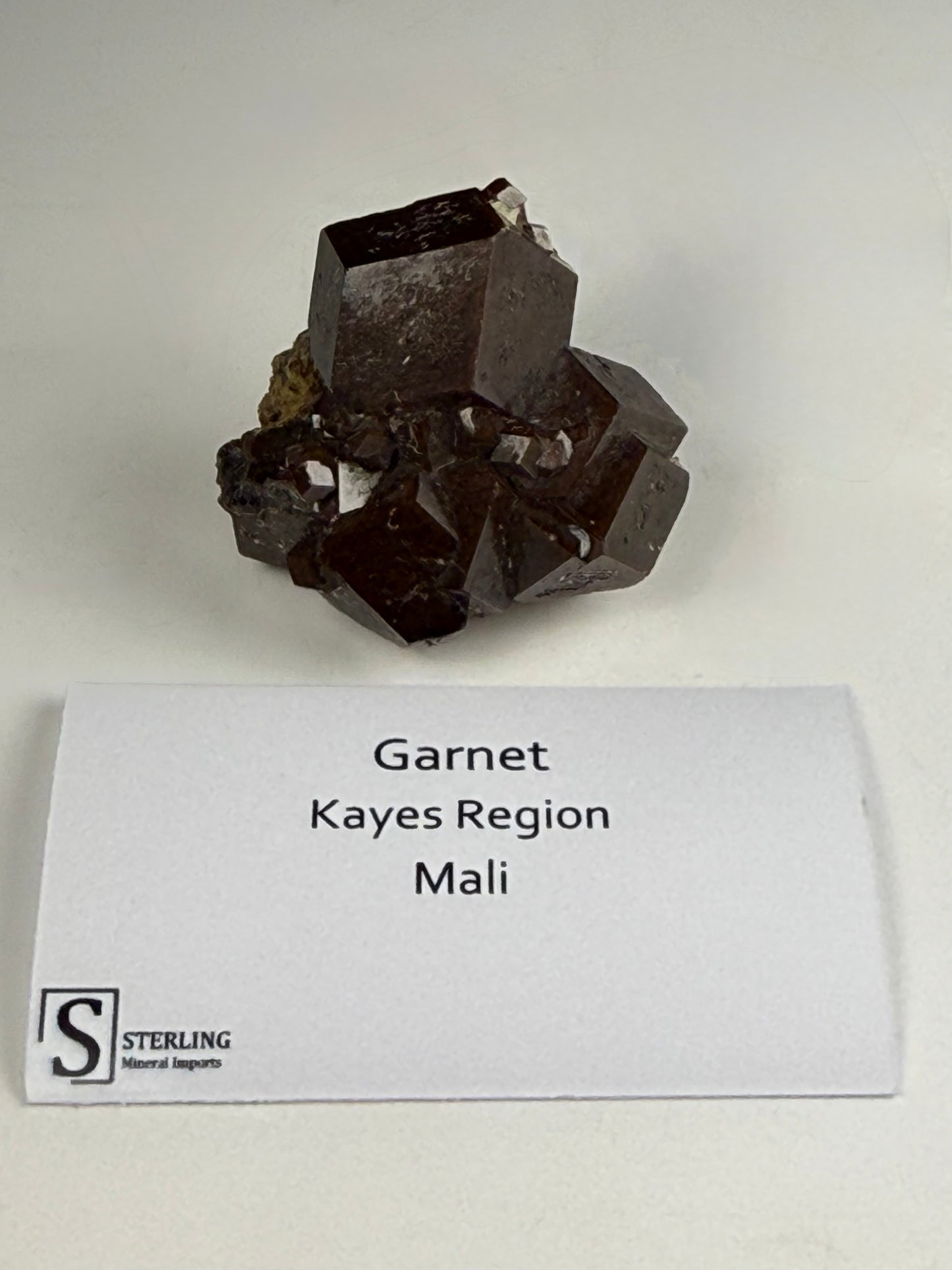 Garnet
