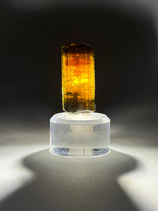 Liddicoatite var. Tourmaline
