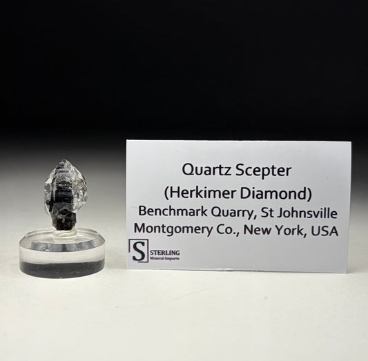 Quartz Scepter (Herkimer Diamond)