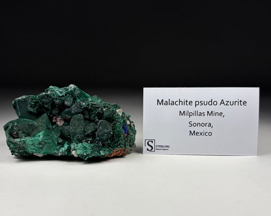Malachite pseudo Azurite